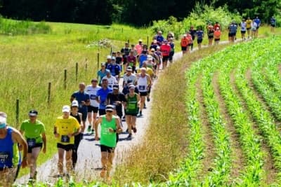 Conny und Valentin, zwei passionierte Läufer mit langjähriger Erfahrung und einer tiefen Begeisterung für den Laufsport stehen hinter diesem ehrenamtlichen Projekt laufsportal.ch